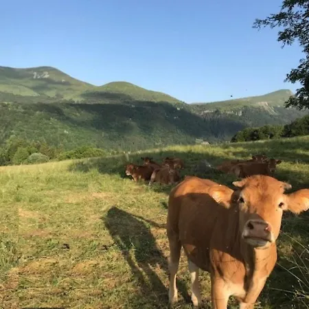 T3 Proche Centre Avec Terrasse - Fr-1-608-236 *