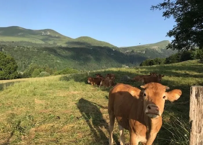 T3 Proche Centre Avec Terrasse - Fr-1-608-236 *