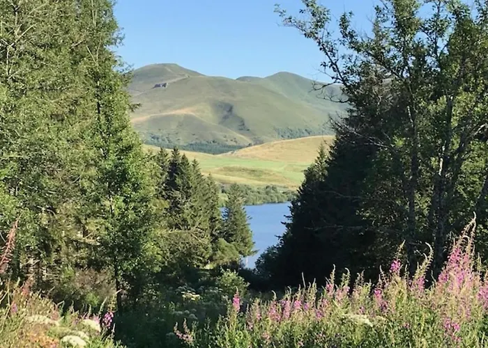 Appartement T3 Proche Centre Avec Terrasse - Fr-1-608-236 *