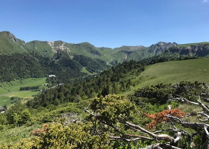 Appartement T3 Proche Centre Avec Terrasse - Fr-1-608-236